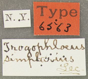 Media type: image; Entomology 6563   Aspect: labels
